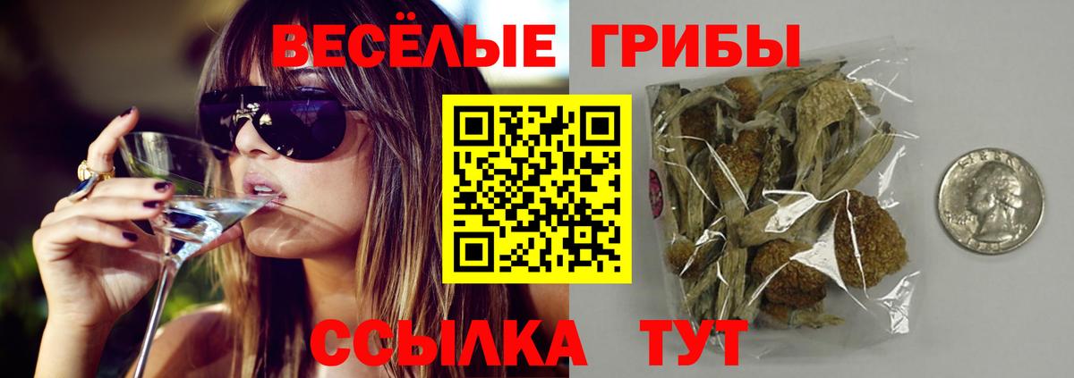 Галлюциногенные грибы мухоморы Стерлитамак